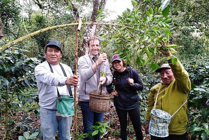 Coffee Farm Experience: 1-Day Coffee Tour from Cusco - Key highlights worth planning around