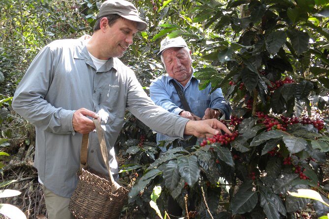 Coffee Farm Experience: 1-Day Coffee Tour from Cusco - Cusco pickup and the long drive that actually matters