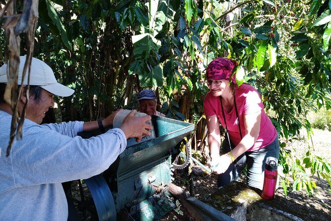 Coffee Farm Experience: 1-Day Coffee Tour from Cusco - From ripe cherry to roast and grind: the coffee lesson you can’t fake