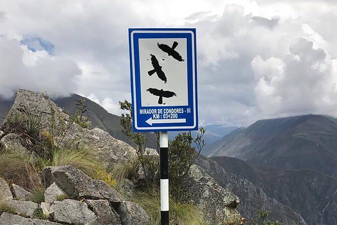 Condor Tour from Cusco - 1 Day - From Cusco at 2:15am: the day that starts before the sun