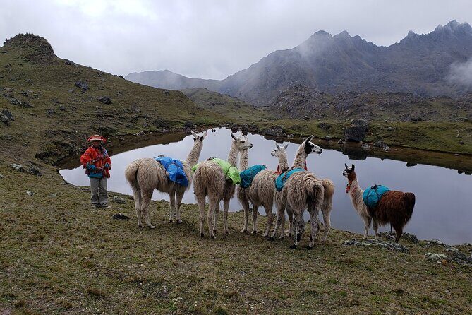 Cultural Multi Day Tour from Lares to Machu Pichu with Llamas - Price and value: what you’re paying for (and why it isn’t random)