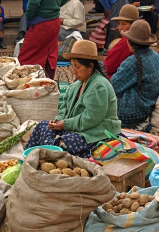 Cusco: 3-Hour Peruvian Cooking Class - Peruvian Central Market shopping: why it matters in Cusco