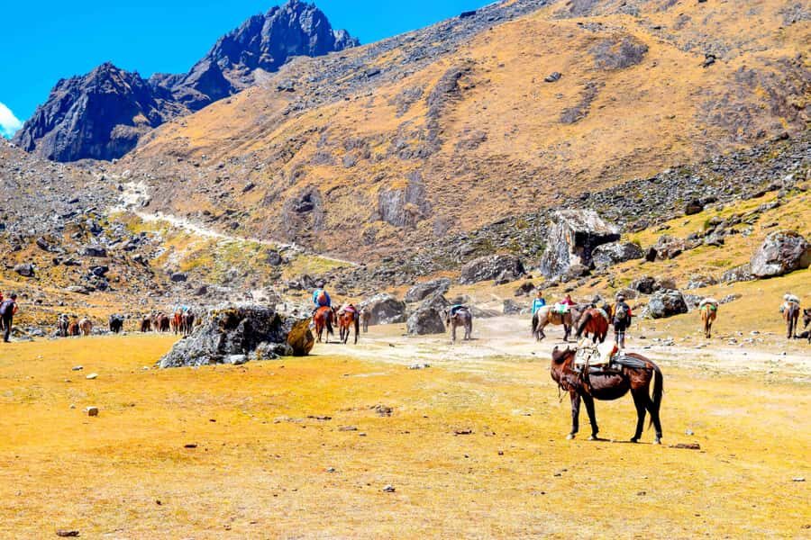 Cusco: 5-Day Salkantay Ultimate Trek to Machu Picchu - Day 3: Cloud forest descent to Playa Sahuayaco, then Lucmabamba and coffee