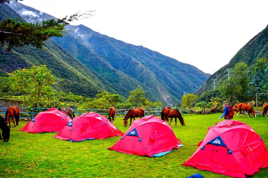 Cusco: 5-Day Salkantay Ultimate Trek to Machu Picchu - Day 5: Morning bus to Machu Picchu, plus Huayna Picchu or Machu Picchu Mountain