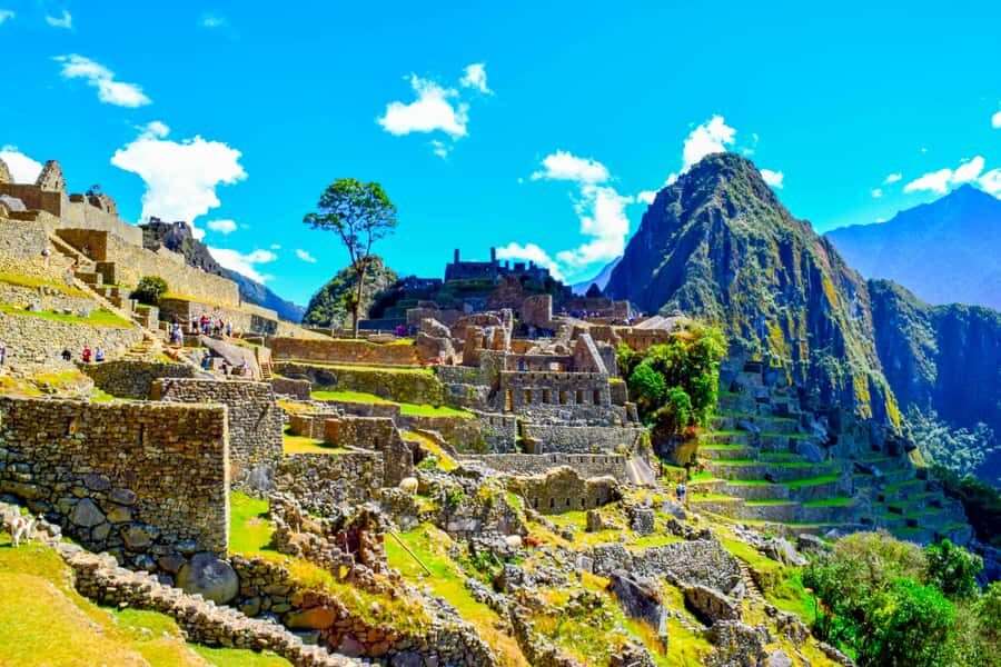 Cusco: 5-Day Salkantay Ultimate Trek to Machu Picchu - Food, sleep setup, and what the support team actually does