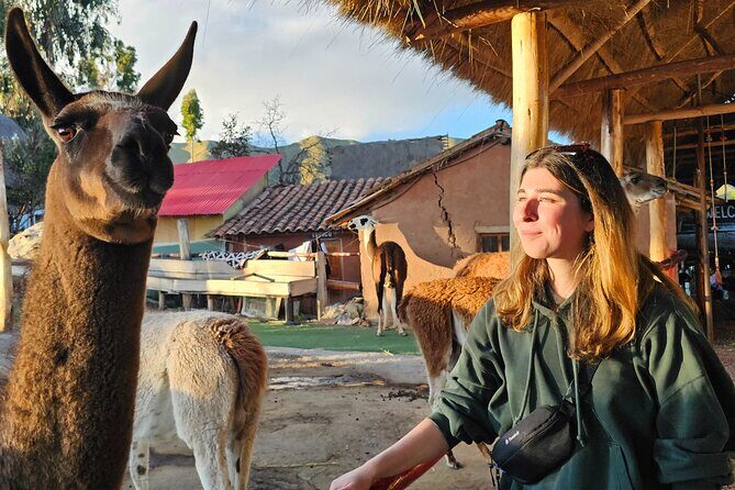 Cusco: Alpaca and Llama Farm Tour with Transfer & Weaving Demo - Alpacas, llamas, and their wild cousins: what you actually learn