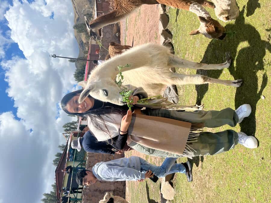 Cusco: Archeological Sites Tour and Forest Photo Experience - Coricancha: Temple of the Sun as the dramatic finale