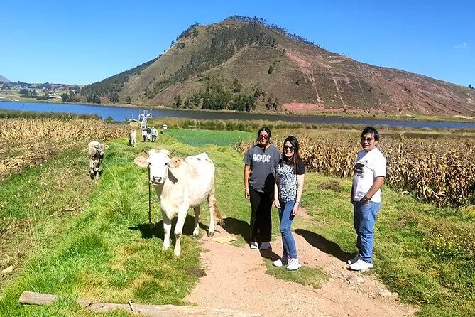 Cusco ATV (Cuatrimotos) Full Day Tour - Pickup, timing, and what your morning feels like