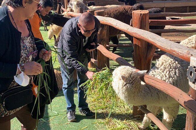 Cusco City Tour - Stop 5: Tambomachay visit for 30 minutes