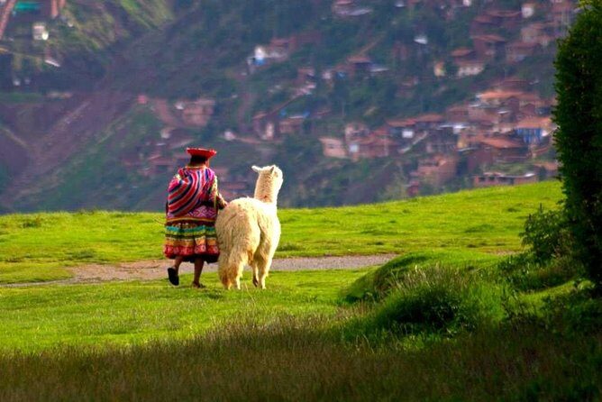Cusco City Tour - Group Service - Key things to know before you go