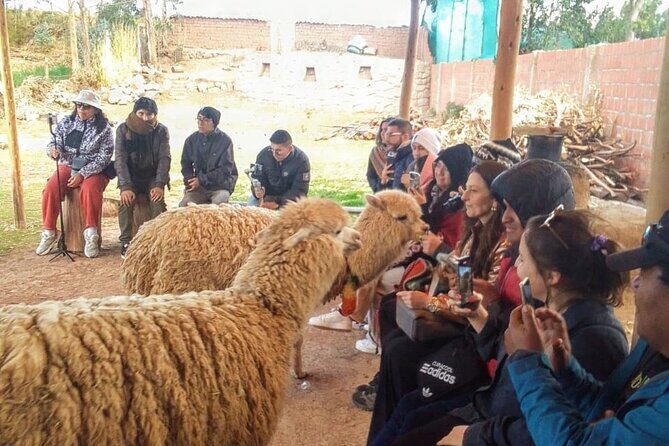 Cusco: City Tour Half Day Tour with Sacsayhuaman and Q’enqo - Q’enqo: amphitheater rock formations and labyrinthine paths