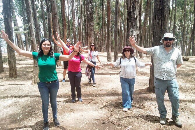 Cusco: City Tour Half Day Tour with Sacsayhuaman and Q’enqo - Plaza de Armas pick-up and the easy end-back location