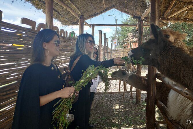 Cusco City Tour Peru 1/2 day - What the guide adds (and how to get more out of each stop)