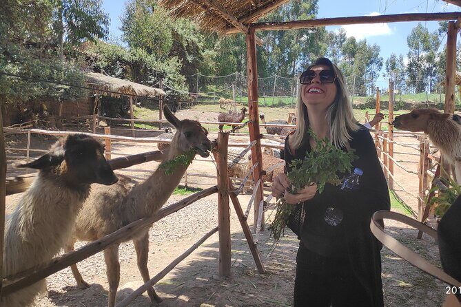 Cusco City Tour Peru 1/2 day - Who should book this (and who might want something else)