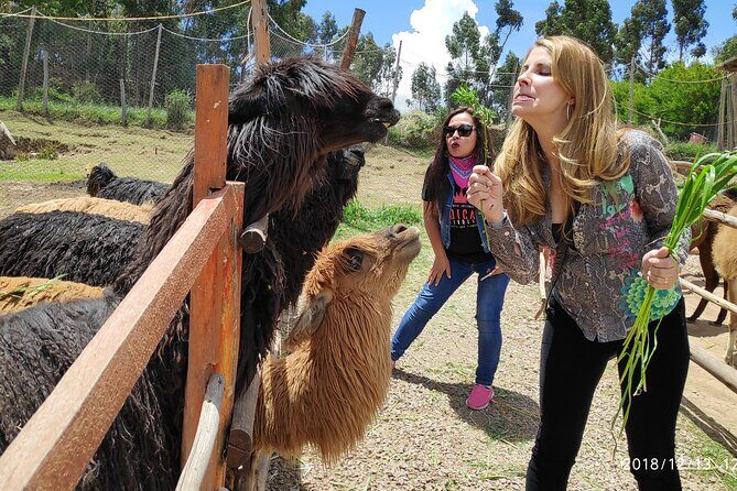 Cusco City Tour Peru 1/2 day - FAQ