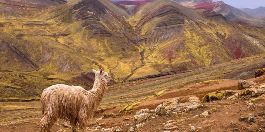 Cusco : Palcoyo - Rainbow Mountain Hidden Sister - Key points to know before you go
