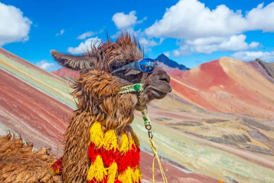 Cusco : Rainbow Mountain and Red Valley Tour - The 4:00 a.m. pickup: why you leave so early