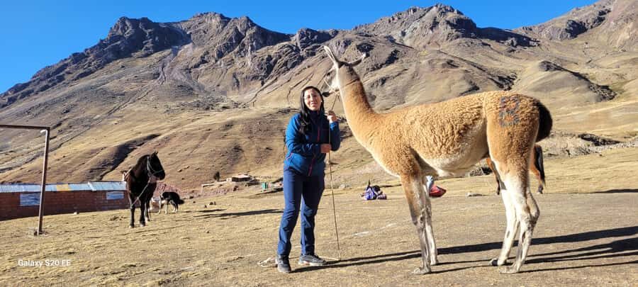 Cusco: Rainbow Mountain & Red Valley Tour with Picnic meals - The 2-Hour Hike to Vinicunca (Rainbow Mountain)