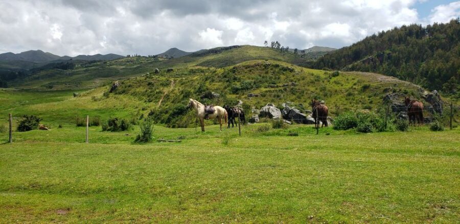 Cusco: Sacsayhuaman Guided Tour and 1-Hour Horseback Ride - The Ranch Switch: Helmets, Muleteers, and Picking Your Horse