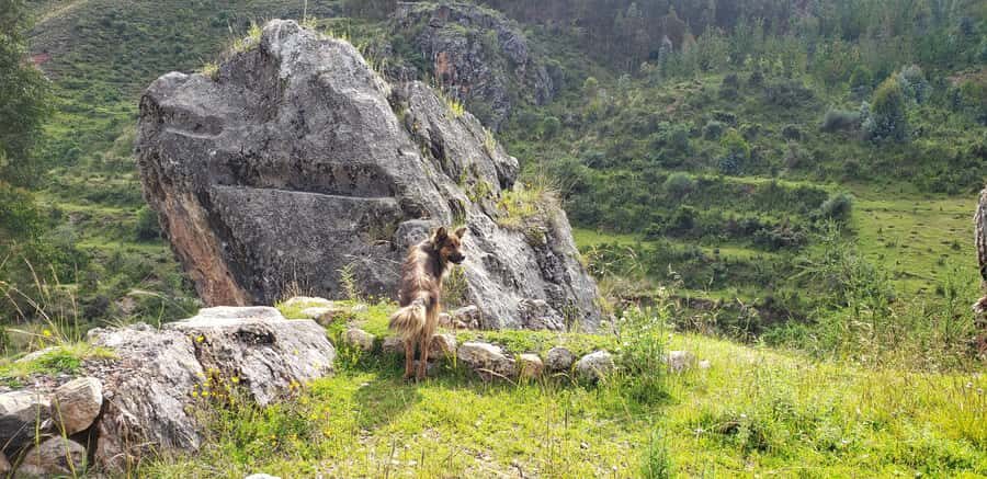 Cusco: Sacsayhuaman Guided Tour and 1-Hour Horseback Ride - Small Group Size: Why Up to 10 People Matters on This Day