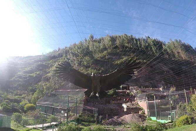 Cusco Santuario de Animales Rescatados en Cusco - Key things to know before you go