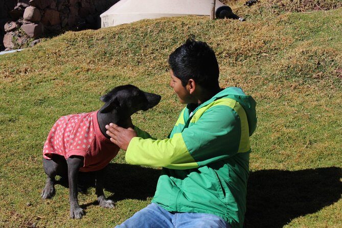 Cusco Santuario de Animales Rescatados en Cusco - A personal guide makes the stories click (and Albert is a standout)