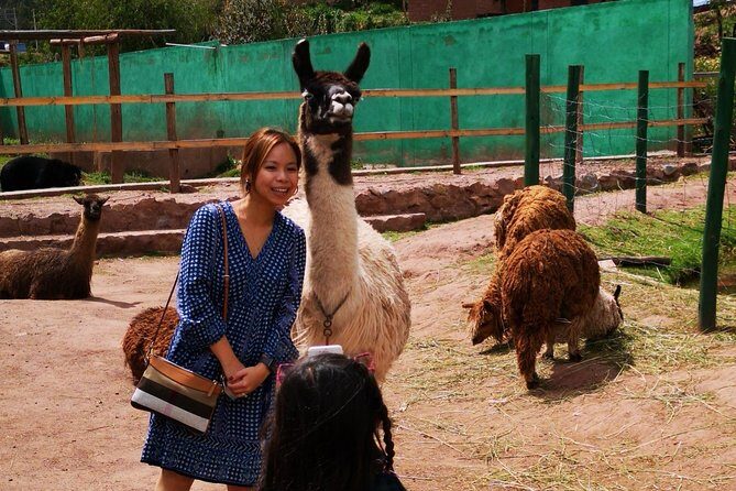 Cusco Santuario de Animales Rescatados en Cusco - Feeding and close encounters: fun moments, with the right attitude