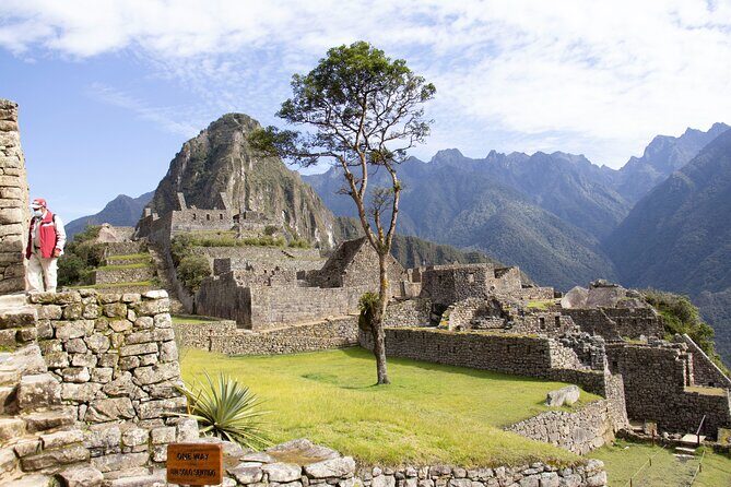 Cusco to Machu Picchu Full-Day Tour : Vistadome & Observatory Train - Price and Logistics: Is This $465 Value Real?