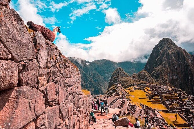 Cusco to Puno Direct Bus Transfer - What You Should Bring (So the Night Feels Easy)