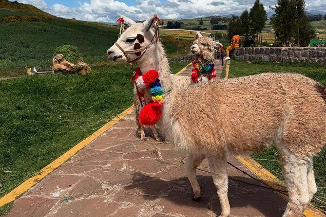 Cusco: Tour al Valle Sagrado + Maras y Moray + Almuerzo Buffet - Chinchero (Stop 1): ruins, a church, and textiles you can learn from