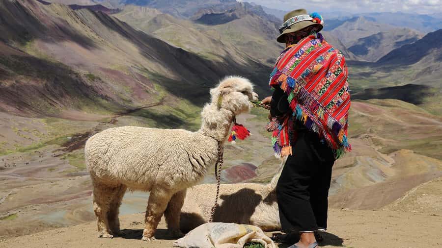 Cuzco: Rainbow Mountain Excursion - Summit time: rest, photos, and a controlled downhill