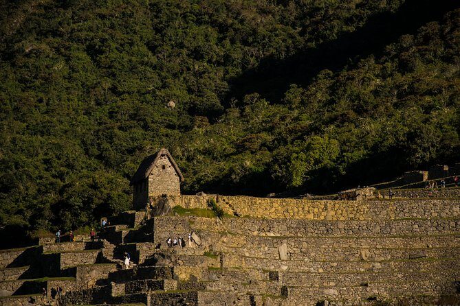 Day Trip to Machu Picchu by Train from Cusco - Returning to Cusco: the late-day finish at your hotel