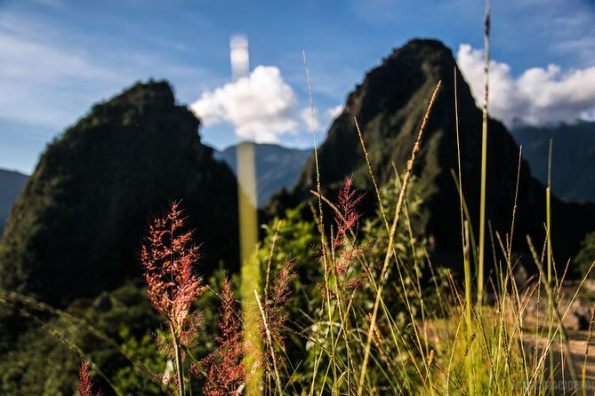 Day Trip to Machu Picchu by Train from Cusco - Cusco pickup and the ride to Ollantaytambo: how you start strong