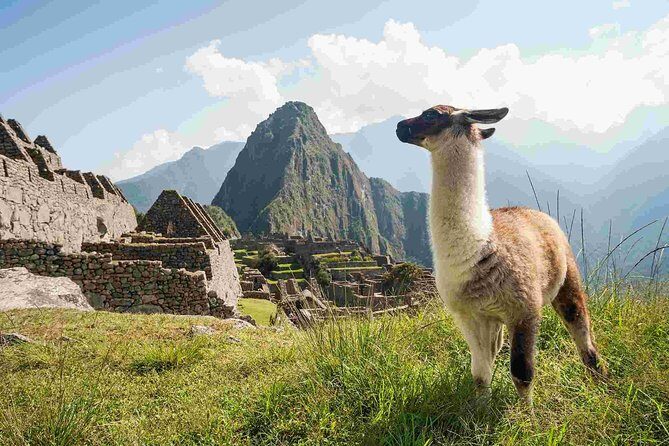Day Trip Tour to Machu Picchu from Cusco - Cusco pickup and the Ollantaytambo train ride