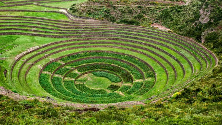 Desde Cusco: Moray Salinas de Maras y Tejedores de Chinchero - Price and Value: What $16 Really Buys You