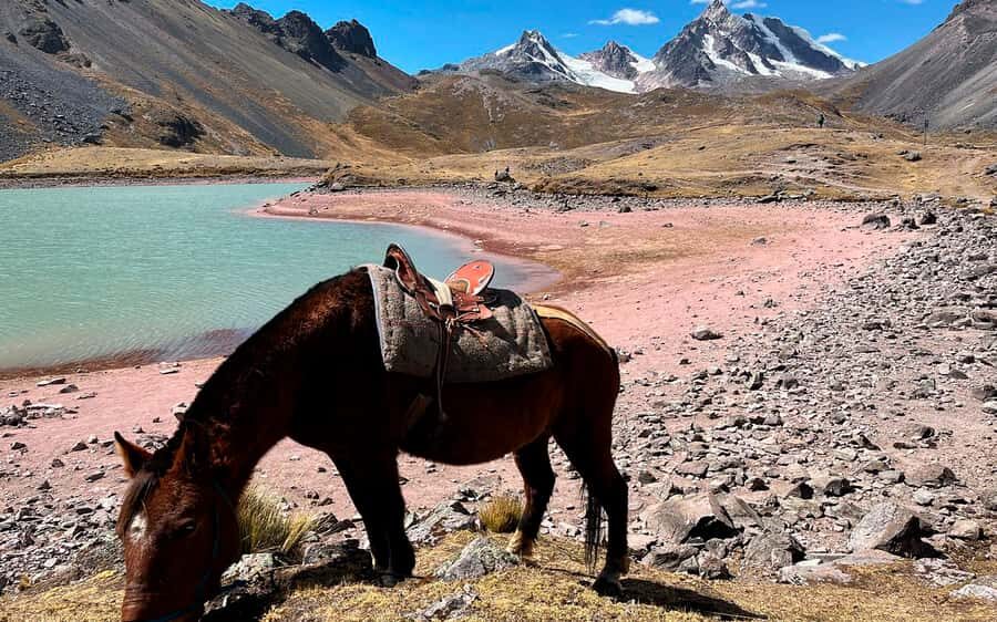 Excursion: Explore in one day the 7 lakes of Ausangate from Cusco - Key Things You’ll Notice on the Ausangate 7 Lakes Day Trip