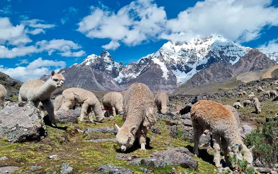 Excursion: Explore in one day the 7 lakes of Ausangate from Cusco - Pacchanta Hot Springs: The Real Recovery Moment