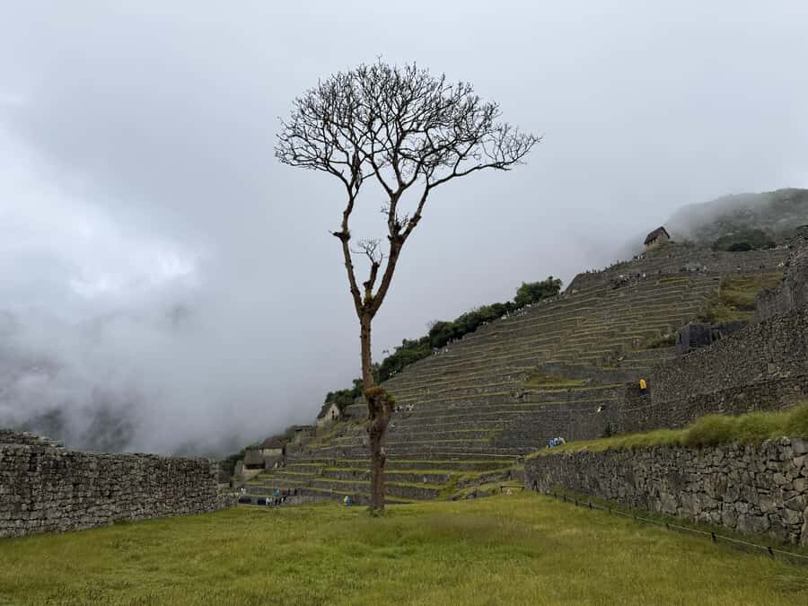 Excursion from Cusco to Machu Picchu + Entrance Tickets Incl - The bus ride and Aguas Calientes timing: where the queues show up