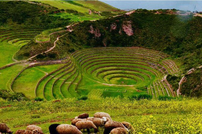 Excursion to Moray & Salt Mines with visit centre textil |Private - Salinas de Maras salt ponds: thousands of small wells