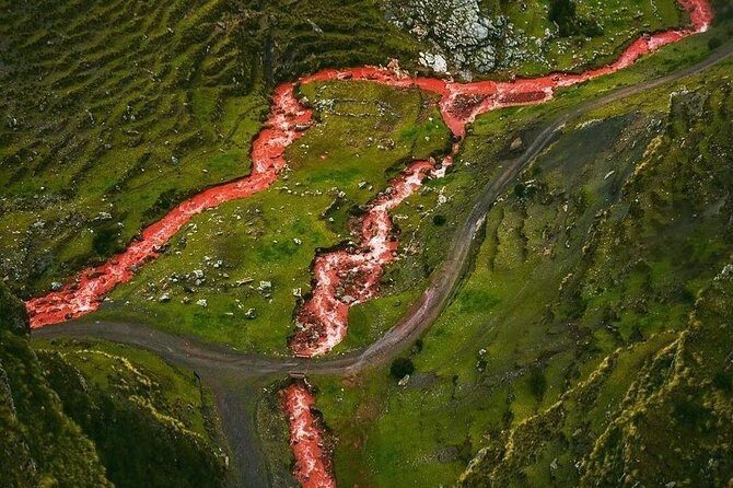 Excursion to Palcoyo Rainbow Mountain full Day from Cusco. - Pitumarca breakfast: fueling up in the Andes