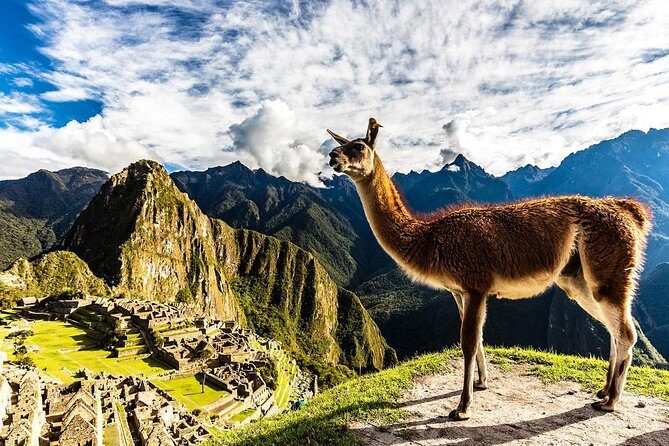 Family-Friendly Machu Picchu Tour from Cusco 08:30 am departure - Price and value: what $389 really covers