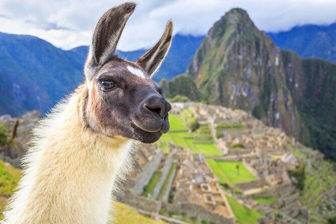 FD Machu Picchu: Tour & Machu Picchu Mountain from Cusco - Key highlights worth knowing