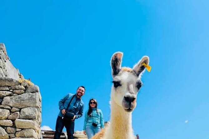 FD Machu Picchu: Tour & Machu Picchu Mountain from Cusco - Machu Picchu Sanctuary guided tour: when the guide makes it click