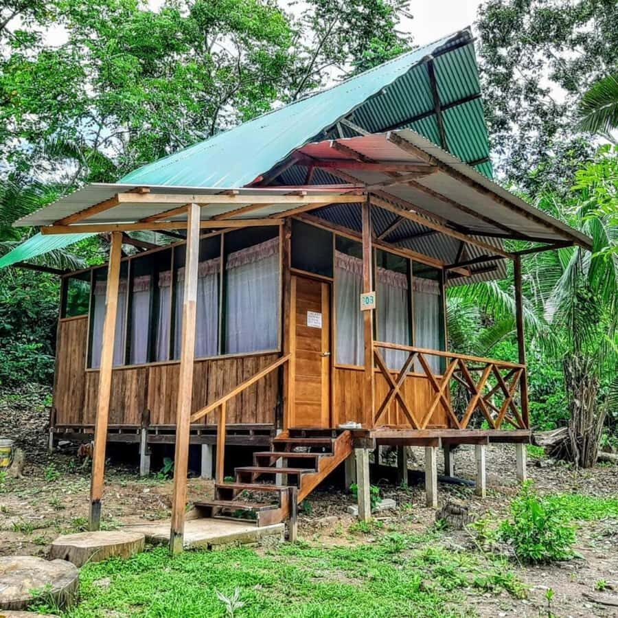 From Cusco: Amazon jungle for two days with sleeper bus and private lodge - Day 2: Tambopata National Reserve walk at dawn and Sandoval Lake paddling