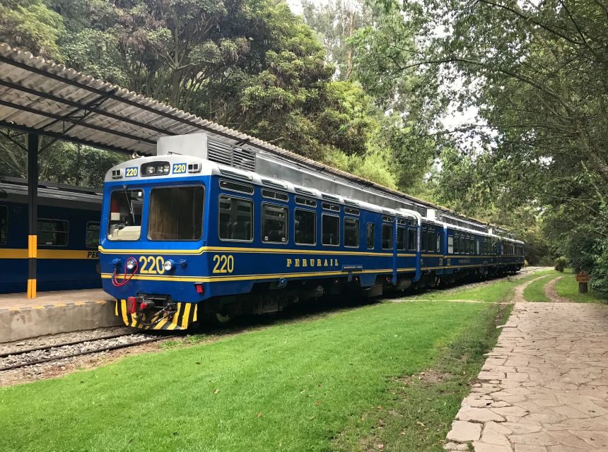 From Cusco: Machu Picchu Private Day Trip on Panoramic Train - Who this private trip suits best (and who may want to rethink it)