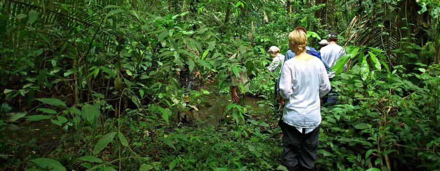 From Cusco: Manu National Park 3 Day Tour - Manu in 3 Days: What this trip is really like