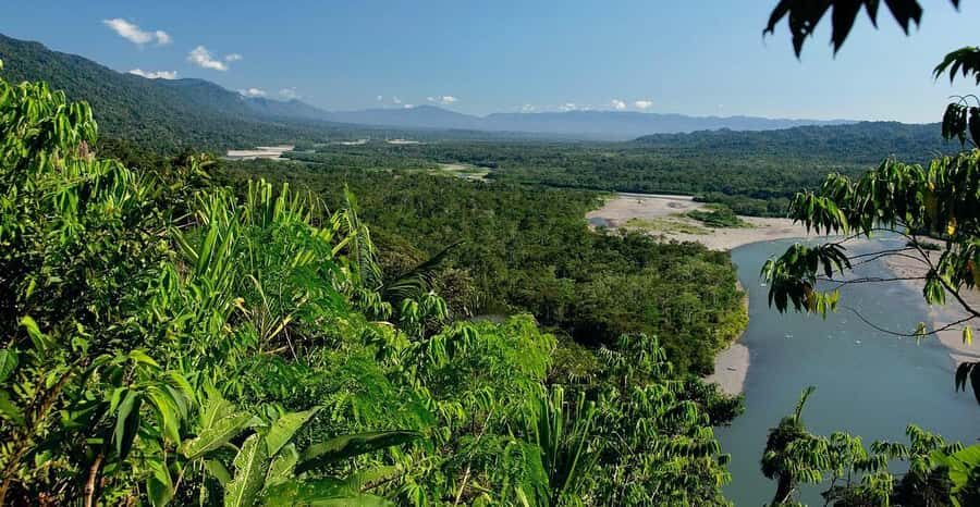 From Cusco: Manu National Park 3 Day Tour - Day 3 speedboat to the parrot clay lick: the mineral science moment