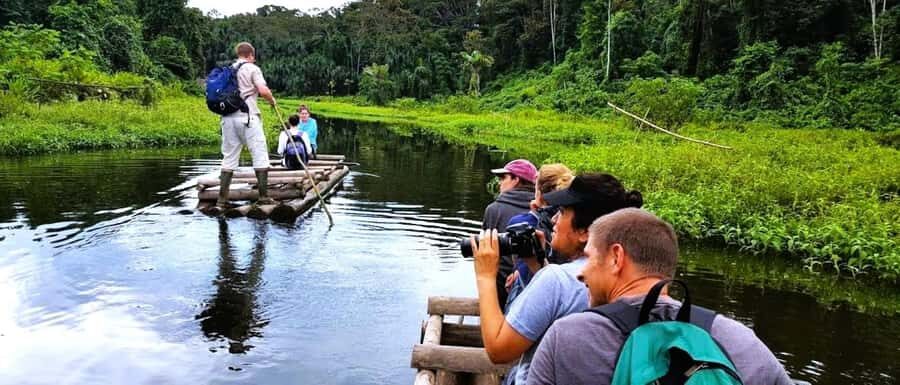 From Cusco: Manu National Park Tour & Accommodation 3 Days - Manu National Park, but make it practical
