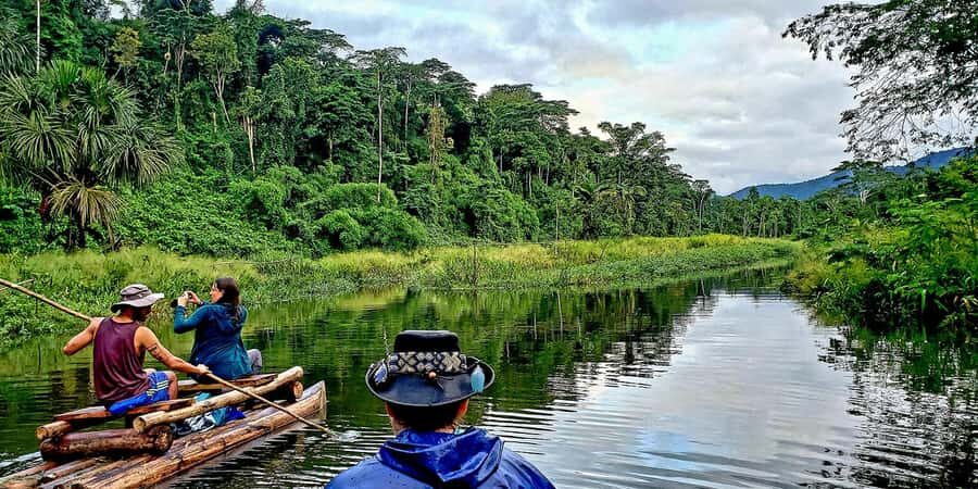 From Cusco: Manu National Park Tour & Accommodation 3 Days - Your guide, group size, and why it affects your spotting chances