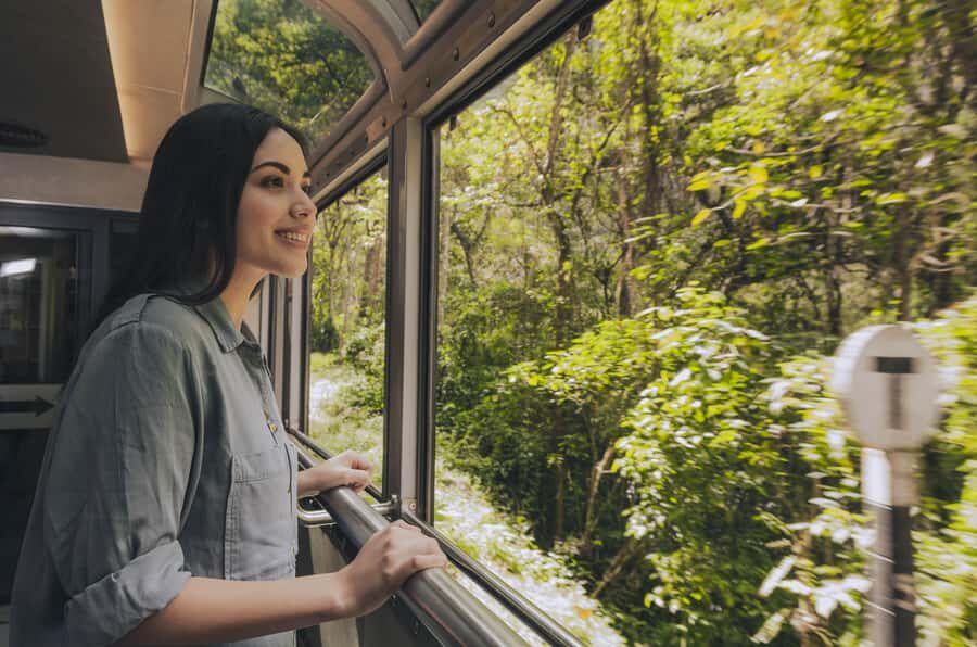 From Cusco: One-Day Tour to Machu Picchu - The premium train from Cusco: comfort plus “out-the-window” payoff